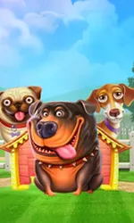 The Dog House
